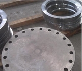 2022 heiße VerkaufsSchmiedeeisen Ss410 A36 Q235 spezielle ringförmige Stahlprodukte